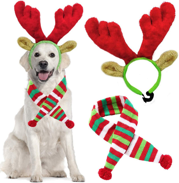 Decorate your DOG for Christmas - Dog Lover Accessories for Christmas Fun