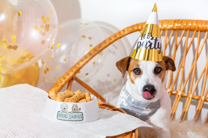 Dog Birthday Ideas - great planning ideas to take your dog's birthday party to the next level.