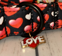 Load image into Gallery viewer, Love My Dog – Dress-Up Day Collar