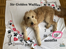Load image into Gallery viewer, Grow Puppy Grow Memory Blanket