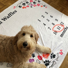 Load image into Gallery viewer, Grow Puppy Grow Memory Blanket