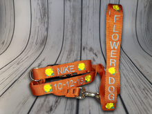 Load image into Gallery viewer, Personalized Dog Collar - Embroidered With Your Dog&#39;s Name and Phone Number - DogCollarWithName.com
