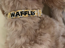 Load image into Gallery viewer, Busy as a Bee – Dress-Up Day Dog Collar
