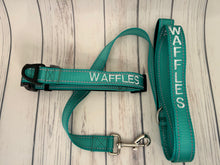 Load image into Gallery viewer, Weekend Vibes Dog Leash - 11 colors

