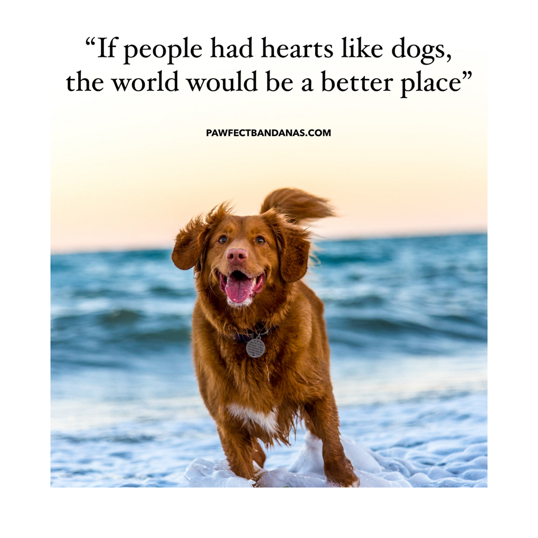 Printable - A dog's heart